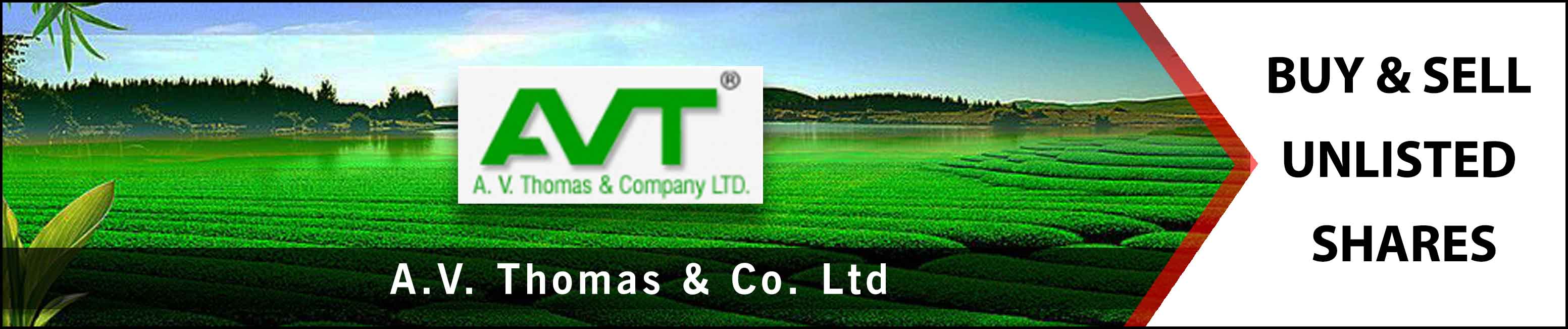 A V Thomas and Company Ltd