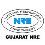 Gujarat NRE Coke Ltd Unlisted Shares