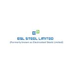 Electrosteel Steels Limited Unlisted Shares