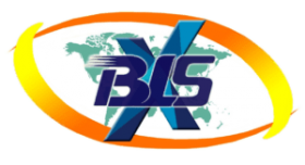 BLSX Limited Unlisted Shares