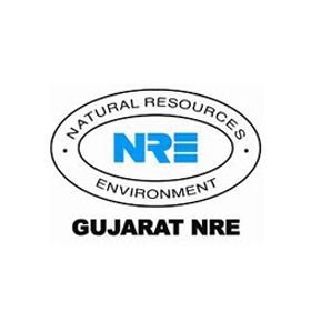 Gujarat NRE Coke Ltd Unlisted Shares
